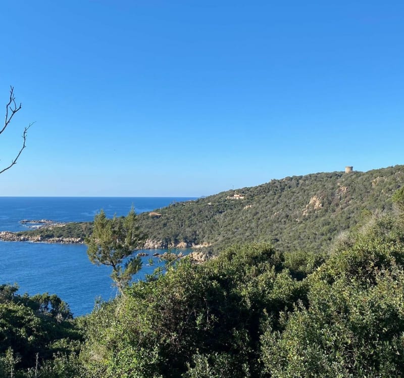 Les hauts de Portigliolo - Coti-Chiavari
