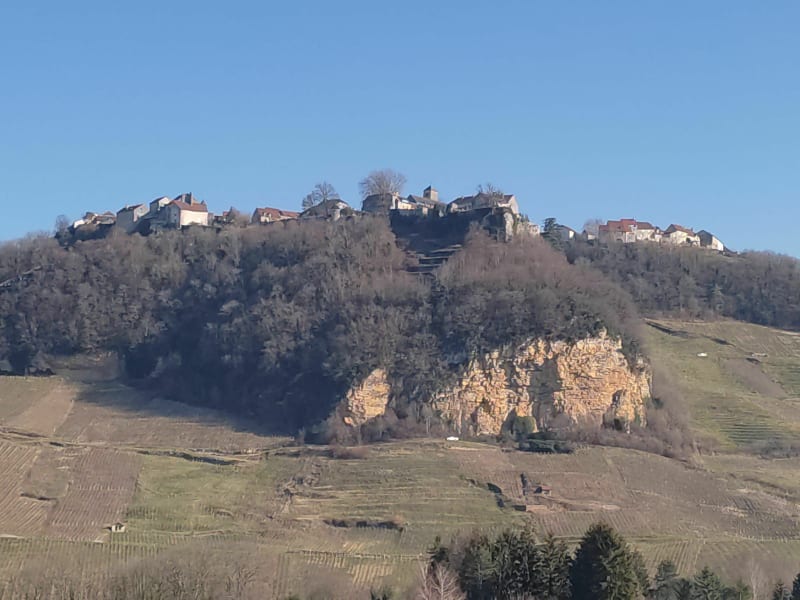 Vignes à Château-Chalon - Voiteur