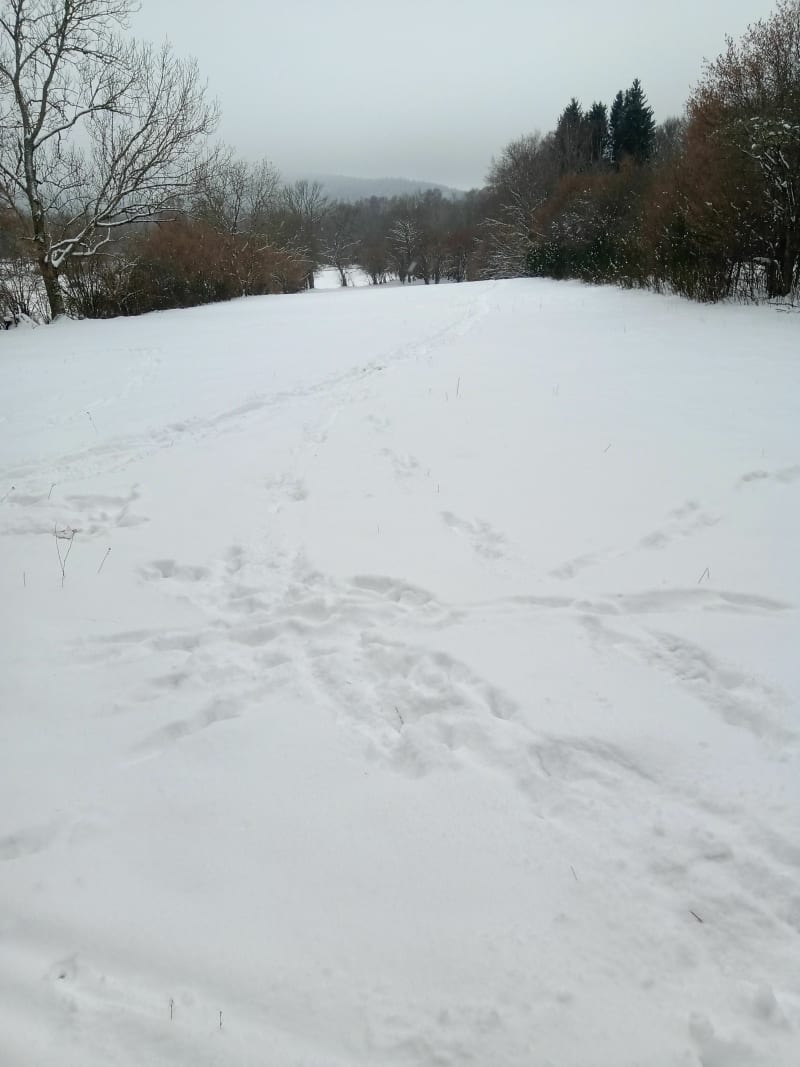 Balade dans la neige au pied du Puy de Dôme - Orcines