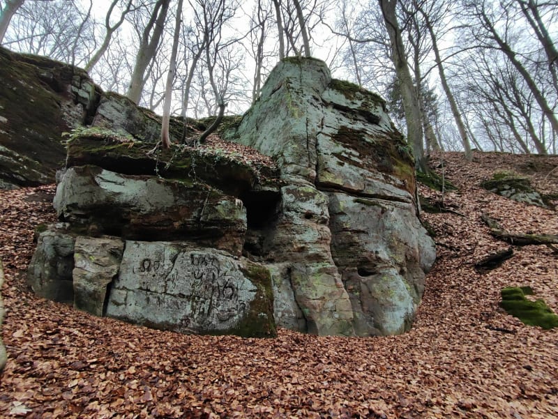 Autour de Klang, une agréable balade dans les bois - Klang