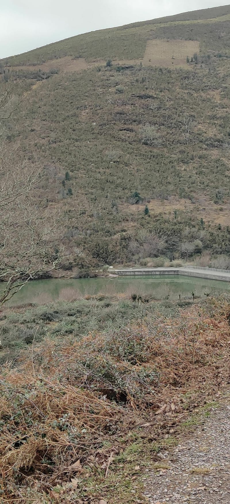 Tour du lac d'Ibardin au départ du parking du col - Urrugne