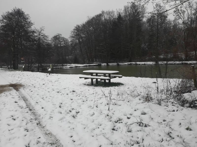 Korte wandeling door de Mazeley-vijvers - Gigney