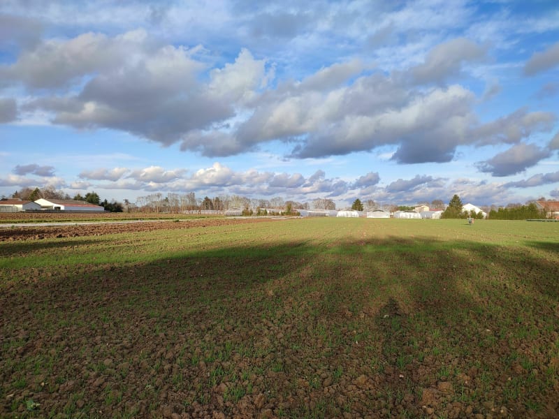 La Maraîchère, dans les champs de Périgny - Périgny