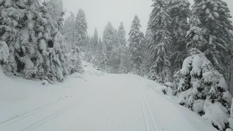 Balade Raquettes La Bresse - La Bresse