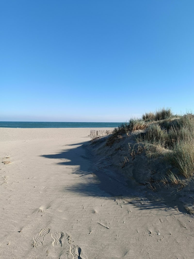 Balade entre l'étang de Canet-Saint-Nazaire et la mer - Canet-en-Roussillon