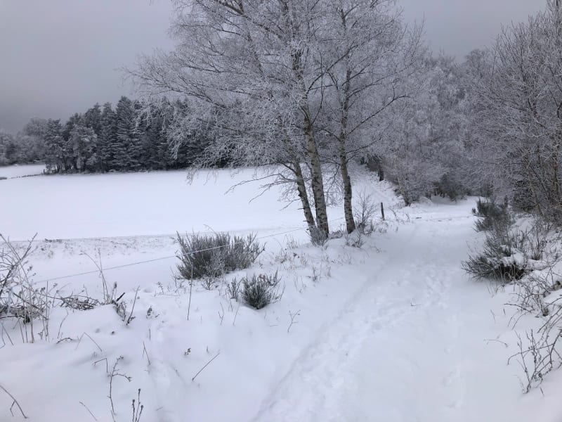 En forêt Grands Bois, au départ de Conol - Verrières-en-Forez