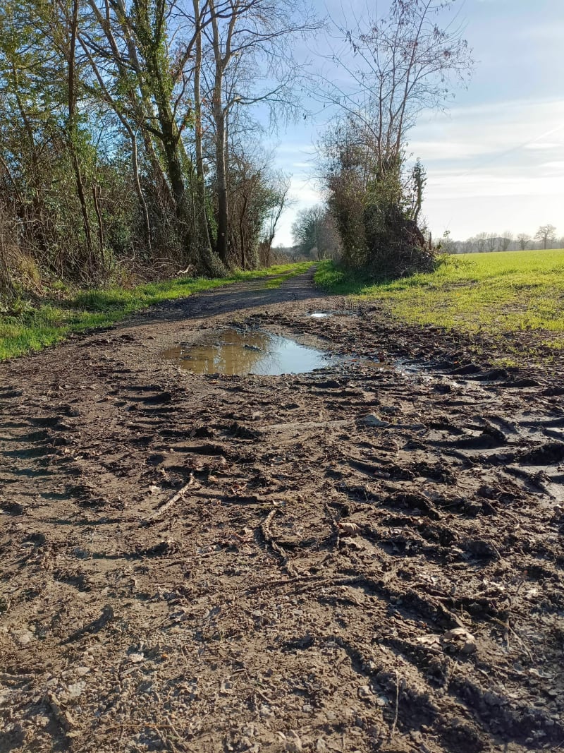 La bergerie-Sautron à Vtt - Nantes