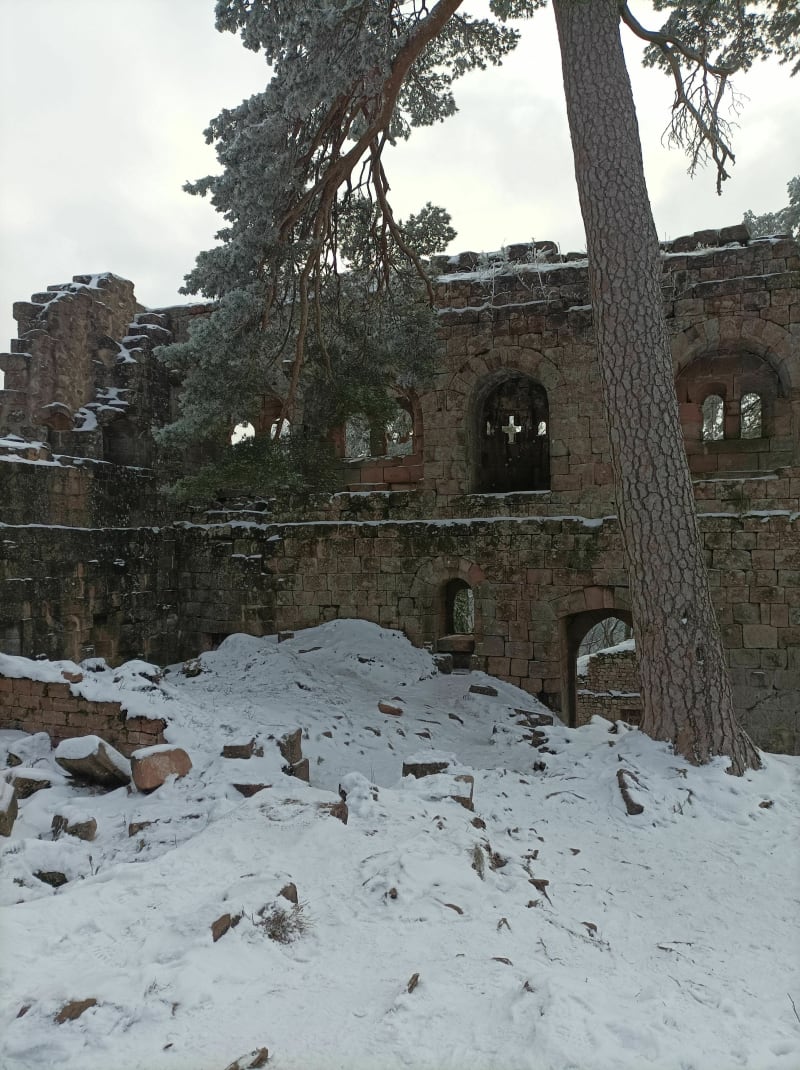 Château du Landsberg à Schlossberg - Barr