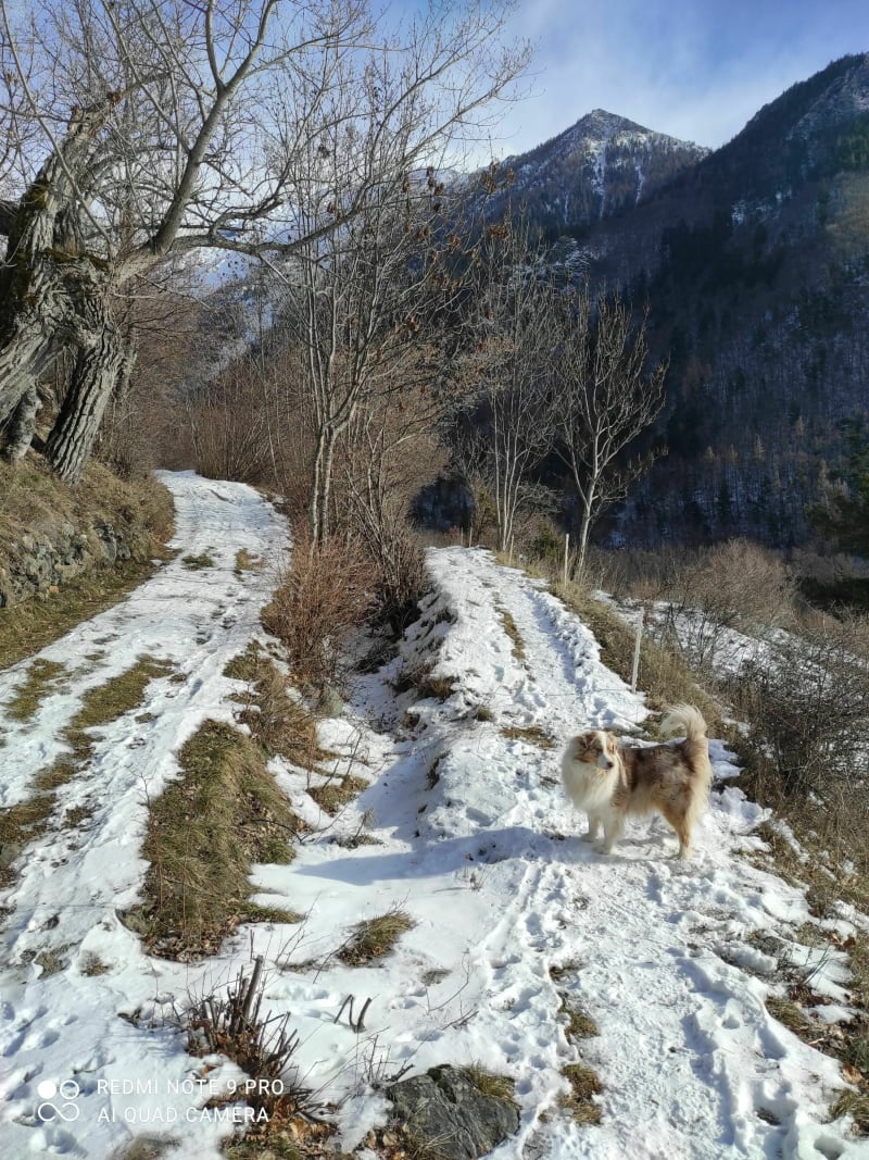 Balade hivernale Canal de la Motte en Champsaur - La Motte-en-Champsaur