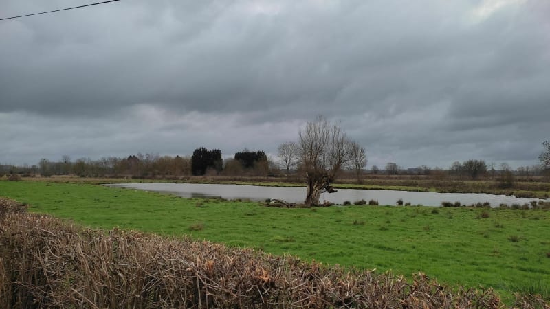Promenade bocagère à Landrecies - Landrecies