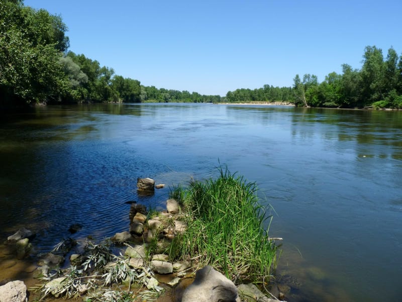 Bords d’Allier à Moulins - Moulins