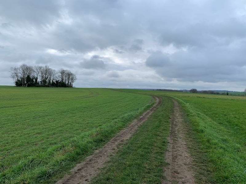 Champs et forêts aux alentours de Maule - Maule