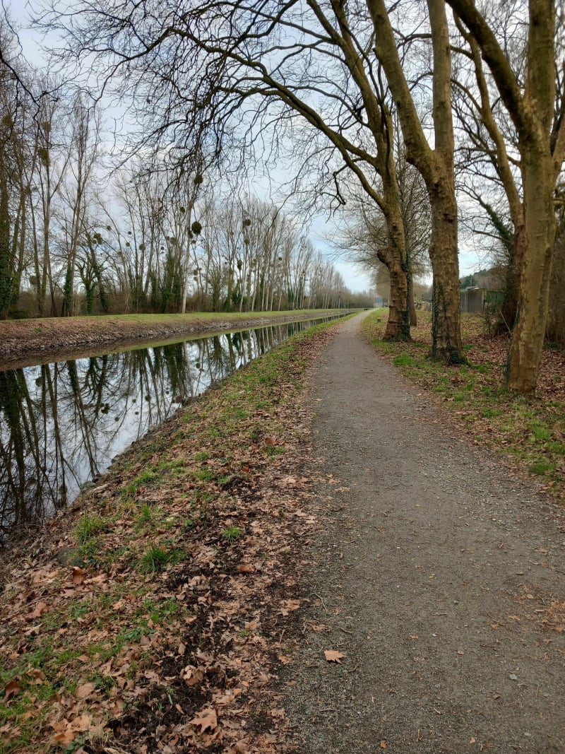 Redon, entre bois et canal - Redon