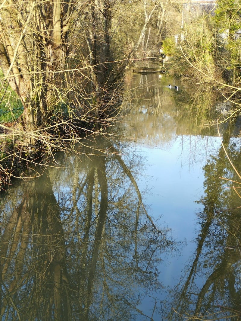 Balade de la Membrolle sur Choisille vers Saint Cyr/Loire - La Membrolle-sur-Choisille