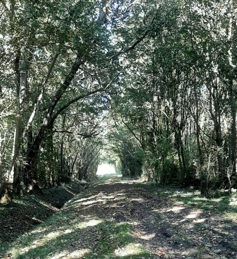 Autour de La Coutardièrede, départ de la Nouzille - Loire-Authion