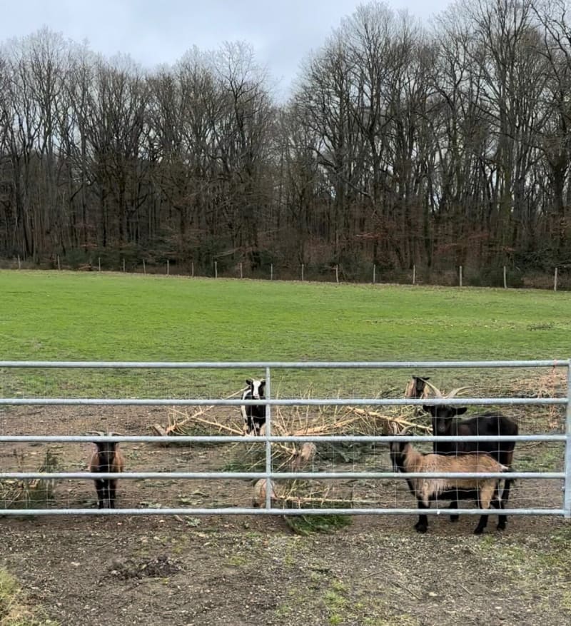 Balade ferme des sueurs - Saint-Cyr-sous-Dourdan