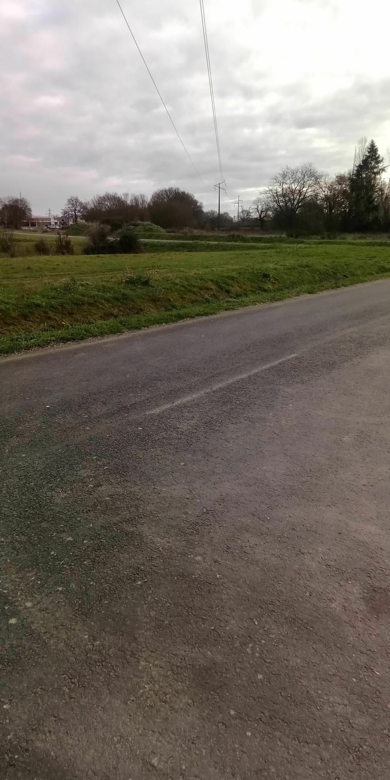 Menhir à Ribou - Cholet