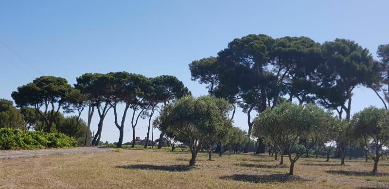 Boucle en famille sur VTT/VTC, autour de l'étang de Vendres - Béziers