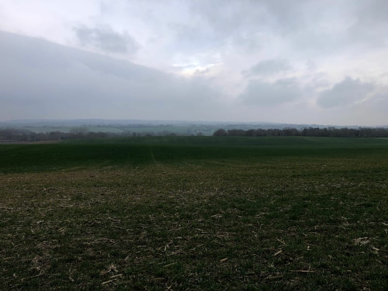 Autour de Cologne par Ardizas - Cologne