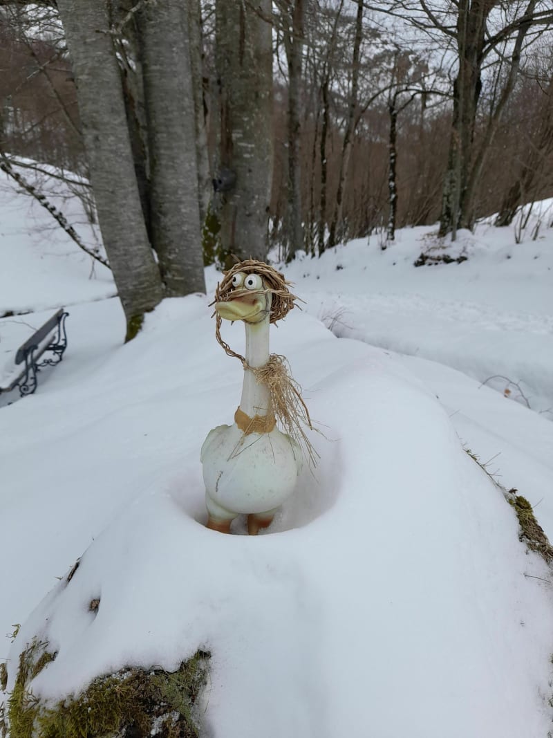 Sur le chemin du pic de Berdeillet en raquettes - Arrens-Marsous