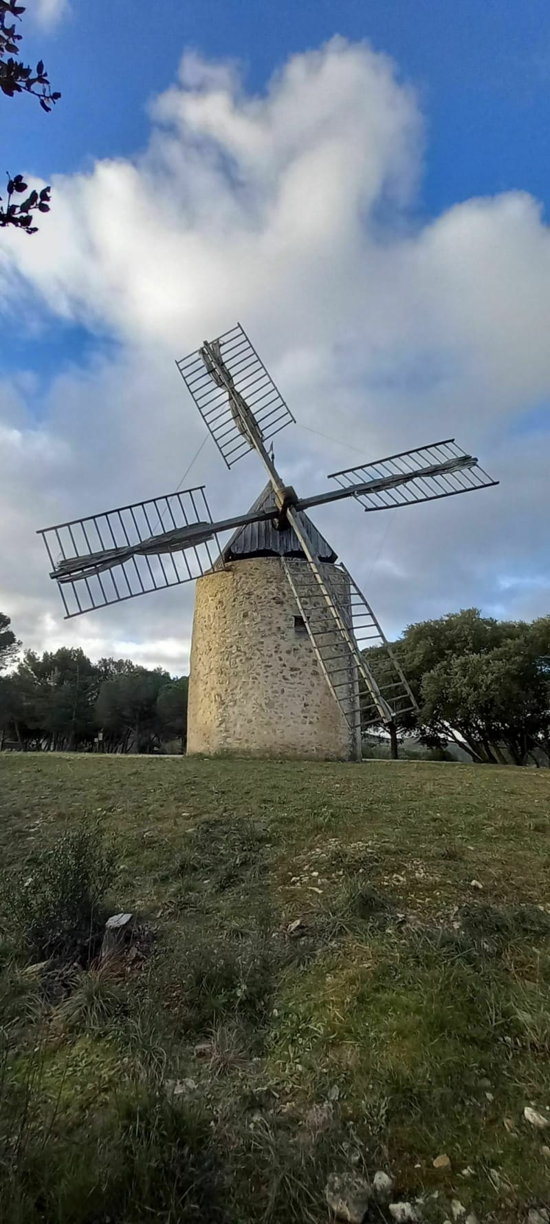 Balade entre vignes, forêts et châteaux à Vénéjan - Vénéjan