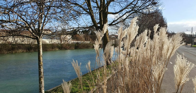 Ville, Marne et vignes - Épernay