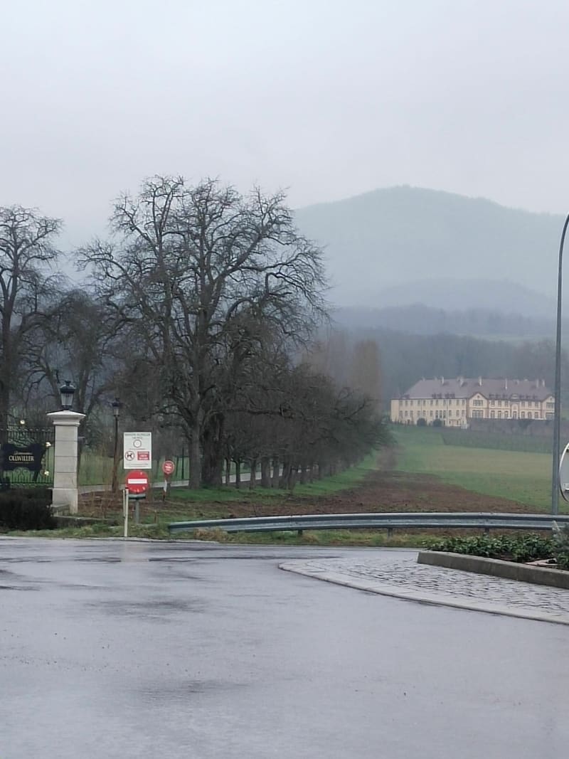 Balade tranquille de Berrwiller vers Wuenheim - Berrwiller