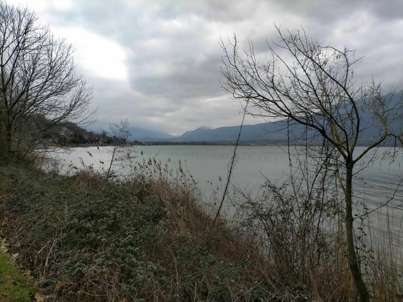 Bords du Lac du Bourget - Viviers-du-Lac