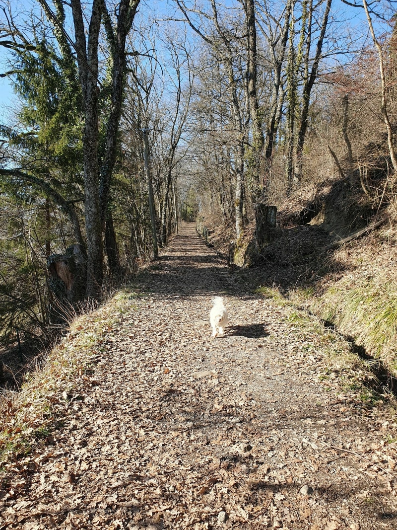 Tour du côteau de Thyez - Thyez