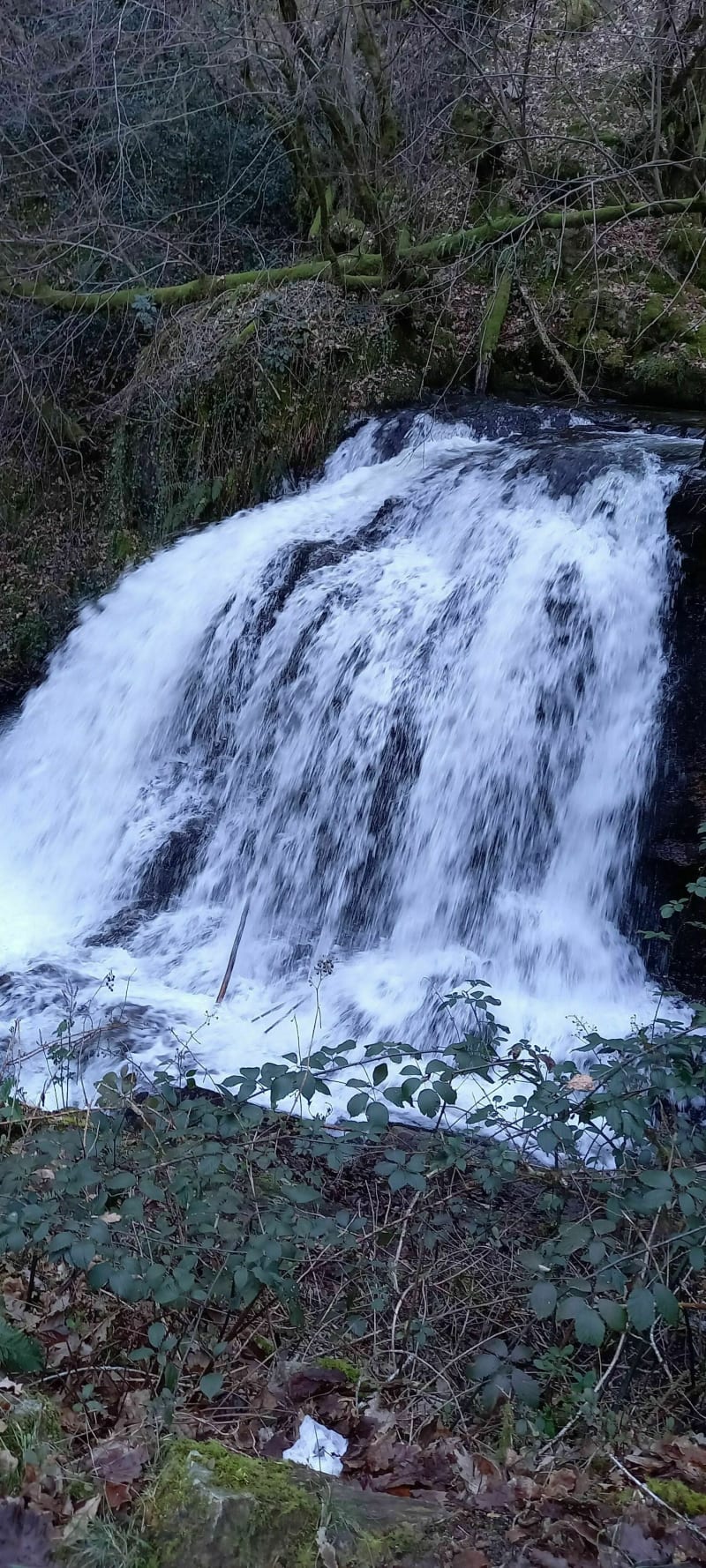 Cascade de Murel par Grand Champ - Forgès