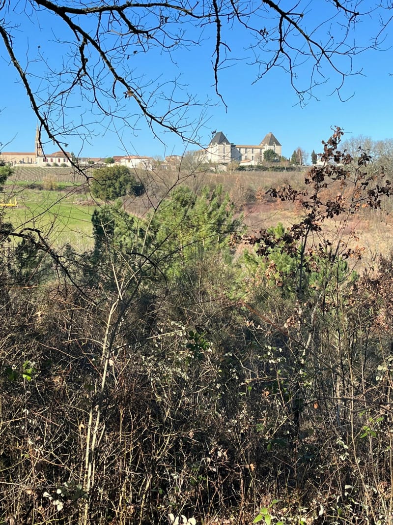 Jolie sortie vallonnée autour des argiles de Saussignac - Saussignac