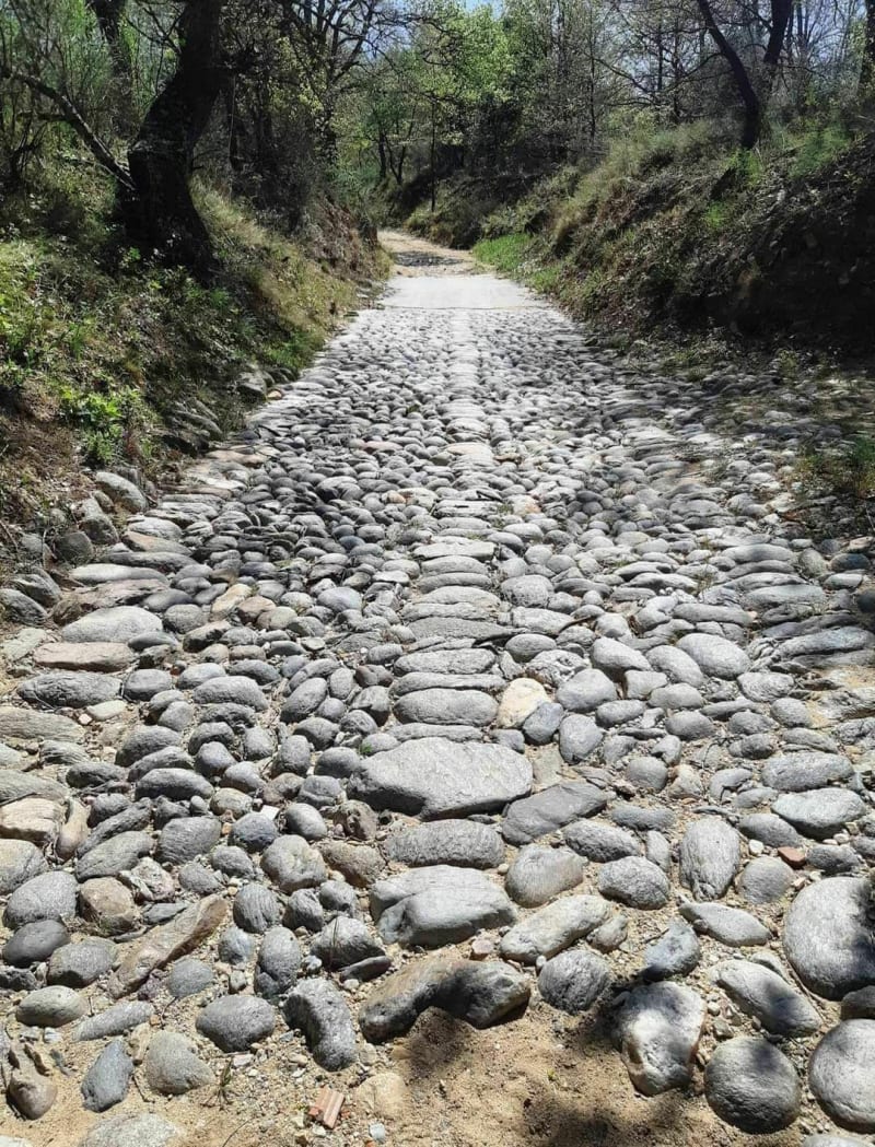 La Voie Romaine dans les coteaux de St Jean et de Banyuls - Saint-Jean-Lasseille