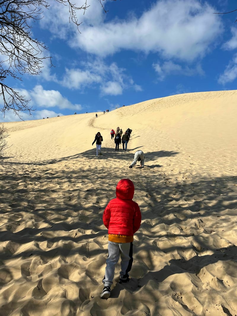 Dune du Pyla depuis le parking officiel - La Teste-de-Buch