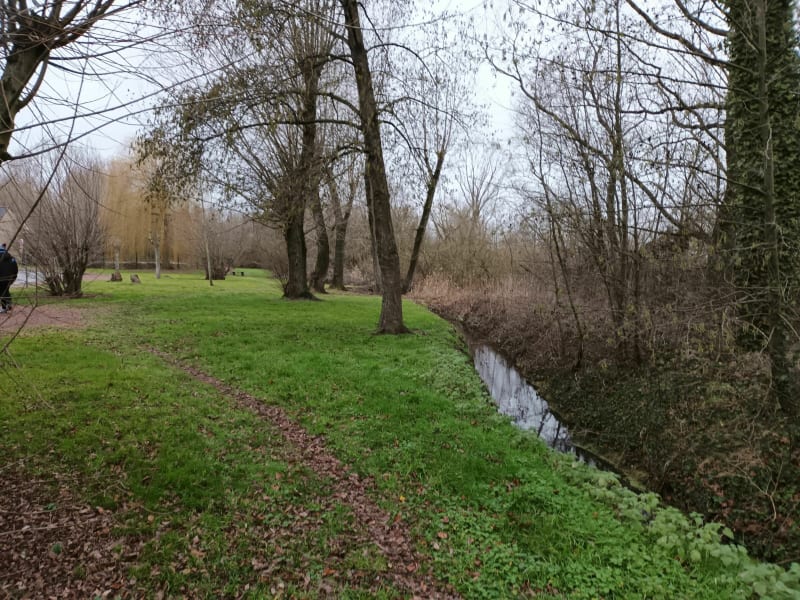 Etangs et terrils de Labourse - Labourse