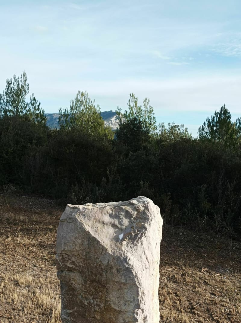 La fontaine des Tuiles - Saint-Marc-Jaumegarde