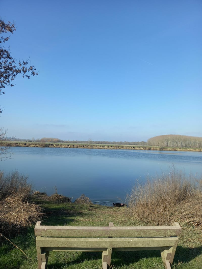 Balade en bord de Maine à Angers - Angers