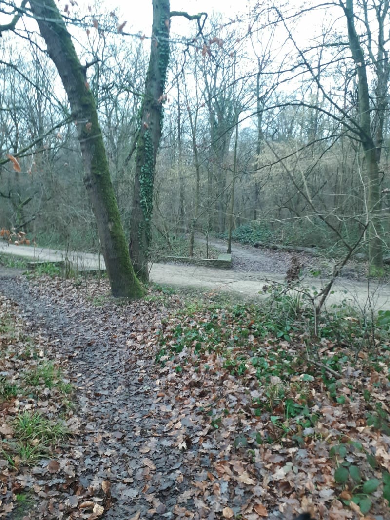 Belle balade en forêt de Bondy - Clichy-sous-Bois
