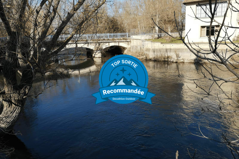 Circuit vélo de route, entre rivières et campagnes à Entraigues sur la Sorgue - Entraigues-sur-la-Sorgue