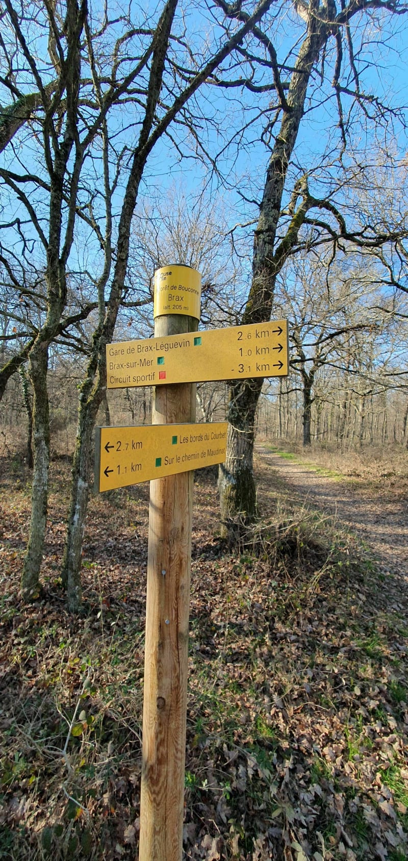 Balade autour de Brax-Léguevinvers la foret de Bouconne - Léguevin