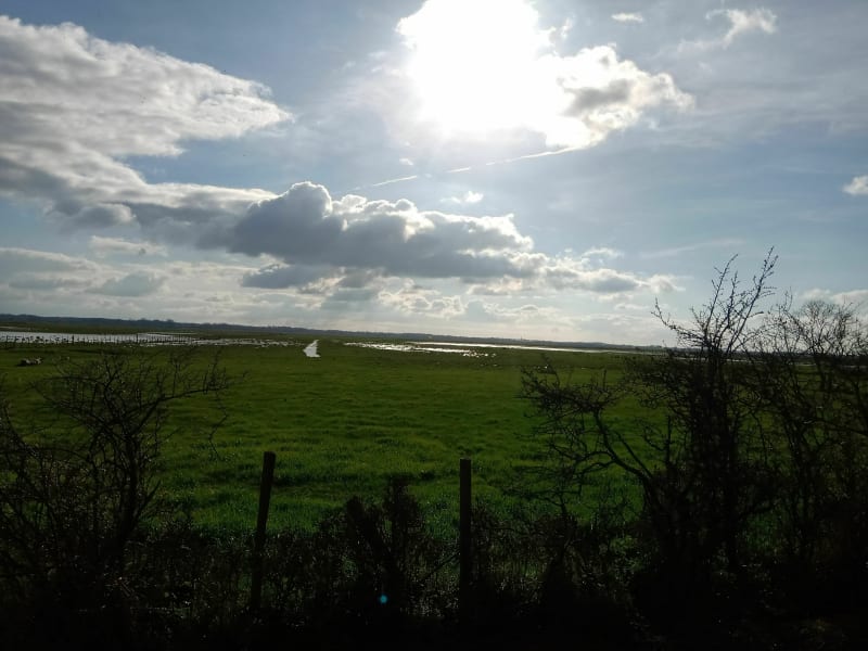 Sous le soleil des marais depuis le Bois de la Haie - Lavau-sur-Loire