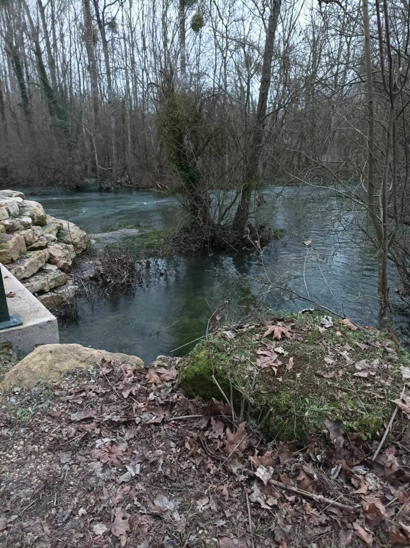 Migne auxances au bord de l'eau - Migné-Auxances