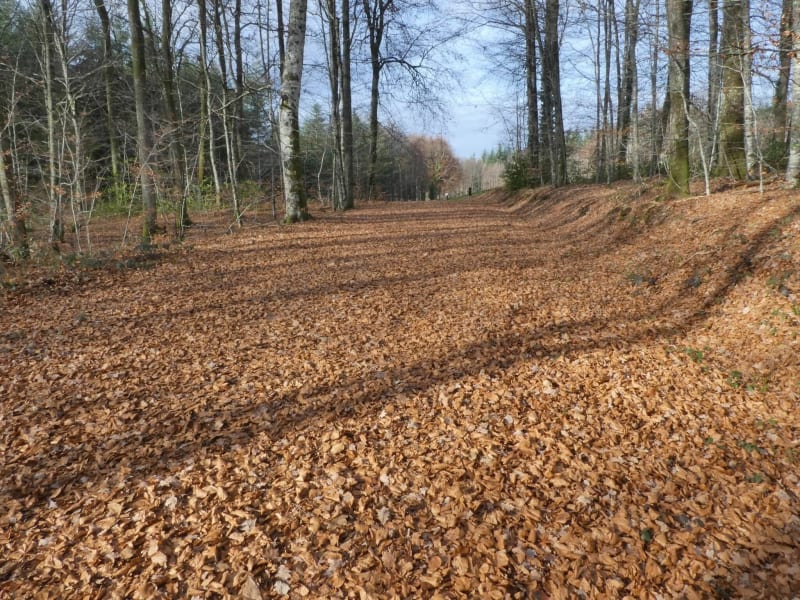 Le Coiroux - Aubazine