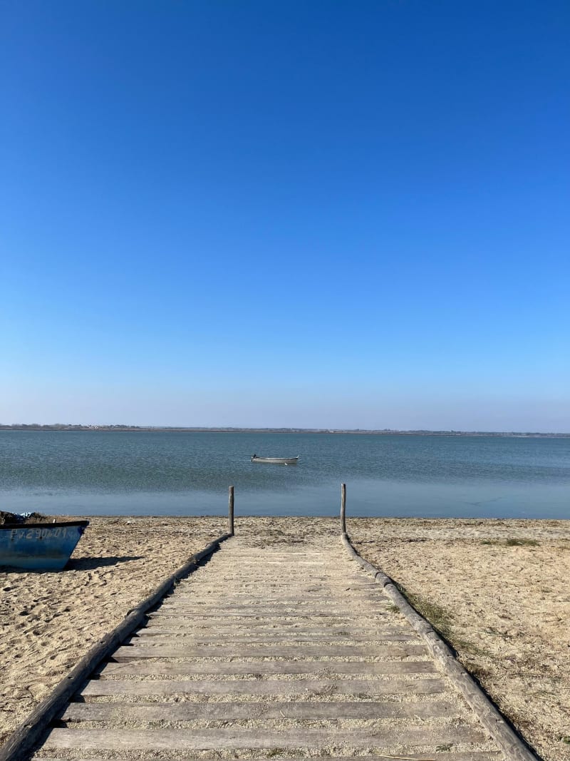 Balade à l’étang de Canet - Saint Cyprien