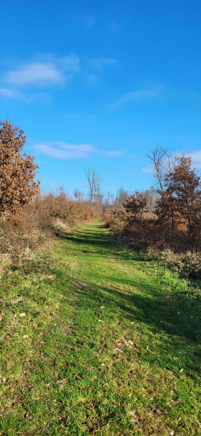 Promenade en forêt des Maunys - Puchay