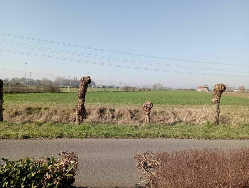 Balade derrière le stade vers Haute Porte - Bailleul