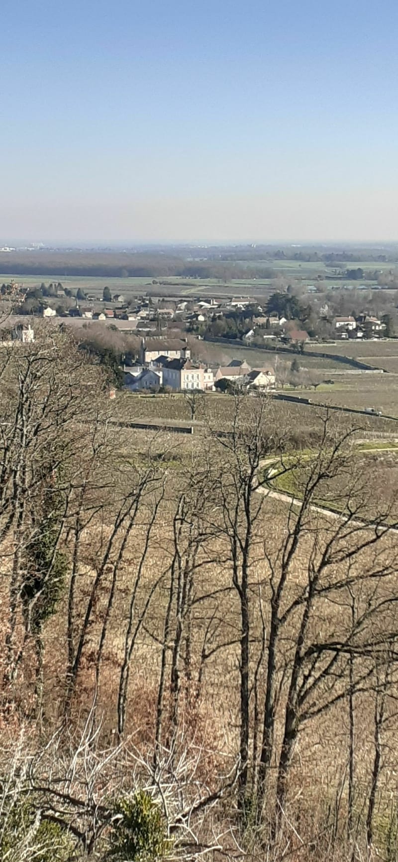 Balade entre Touche et Mercurey - Mercurey