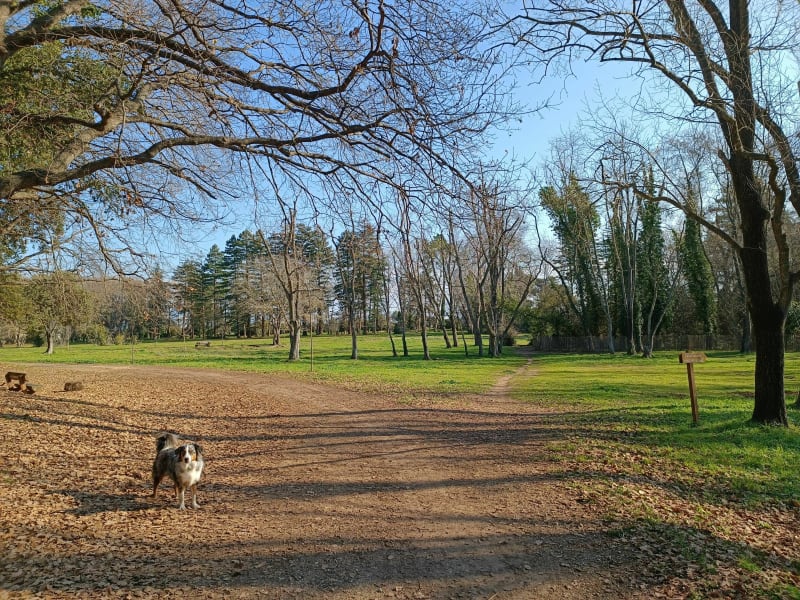 Les bois de Vaugrenier - Villeneuve-Loubet