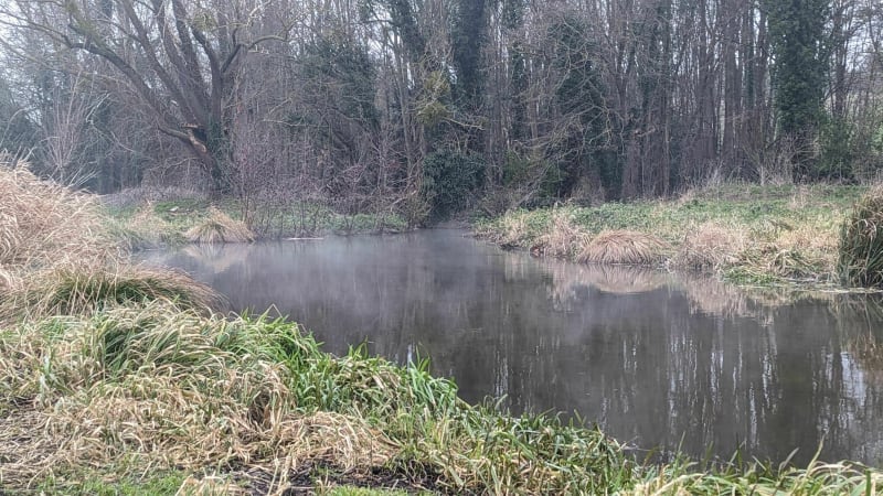 De Villepreux à Rennemoulin - Villepreux