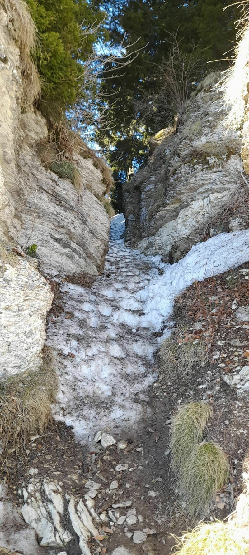 L'Alpage de la Molière par la Croix de Jaume - Lans-en-Vercors