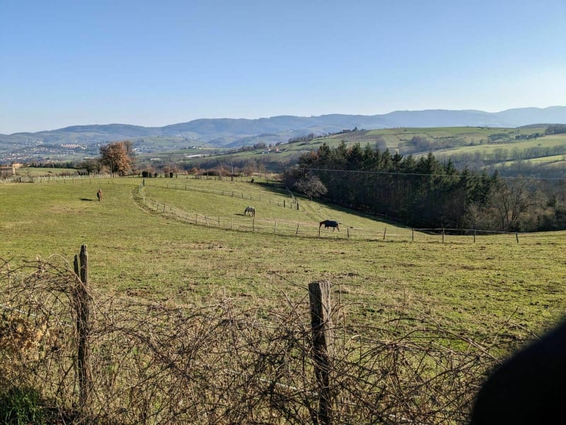 Autour de Savigny jusqu'au Trésoncle - Savigny